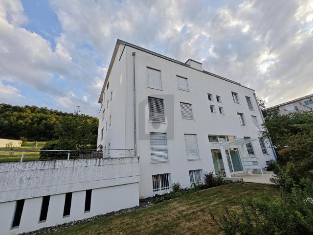 Immobilie kaufen in Zurzach, Aargau