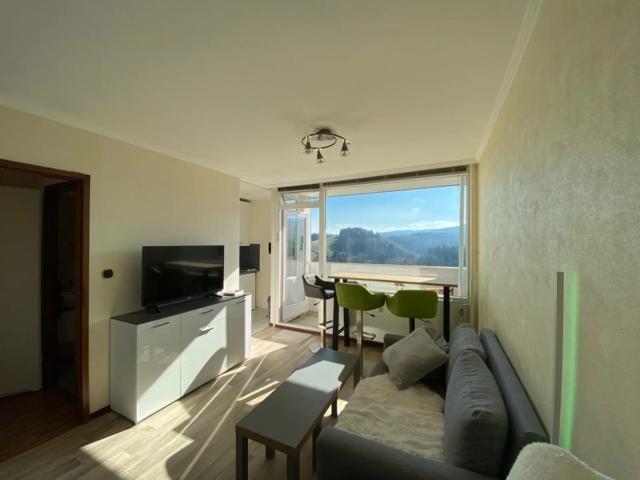 Apartment mieten in Clausthal-Zellerfeld, Altenau