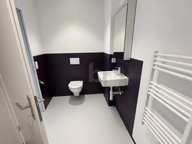 Immobilie mieten in Wetzikon (ZH), Zürich