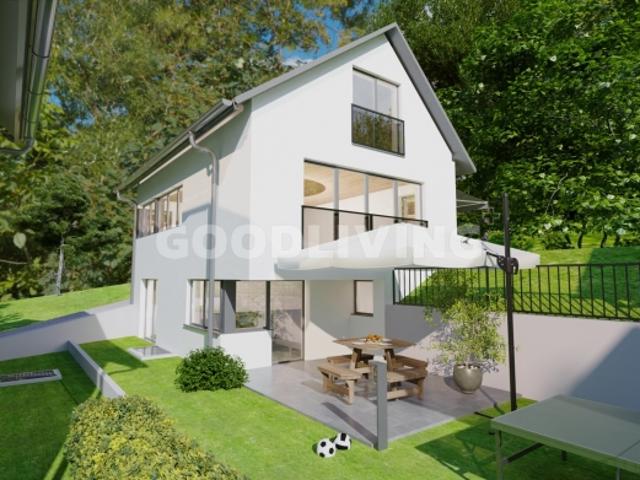 Villa kaufen in Liestal