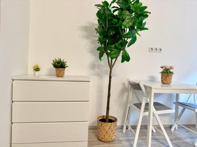 Apartment mieten in Wien