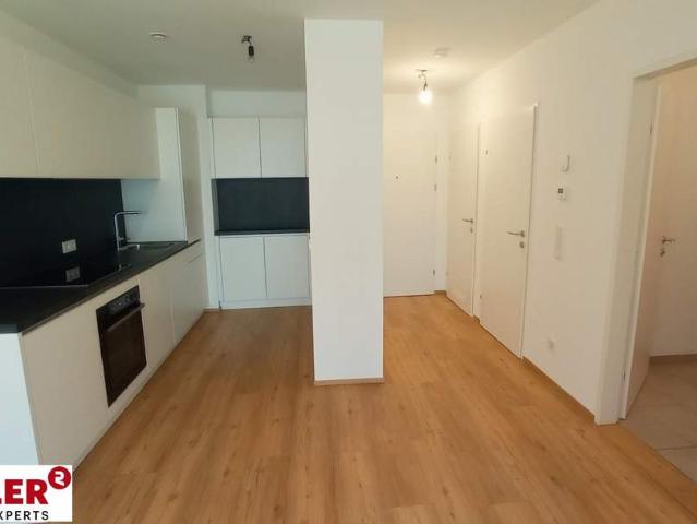 Wohnung mieten in Linz, Oberösterreich