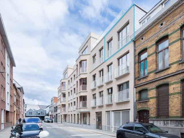 Kot location à Antwerpen