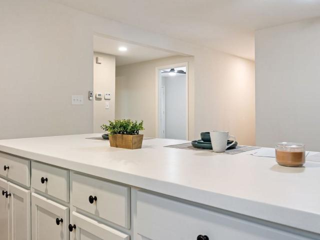 Apartment for rent in Chapel Hill, North Carolina