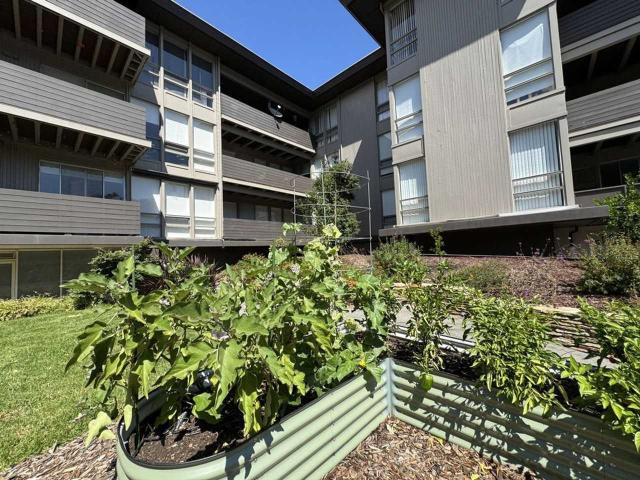 Apartment for rent in San Mateo, California