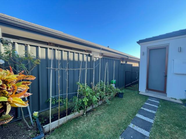 House for rent in Wentworthville, New South Wales