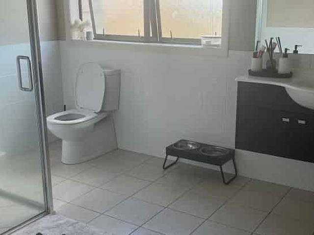 House for rent in Morrinsville, Waikato