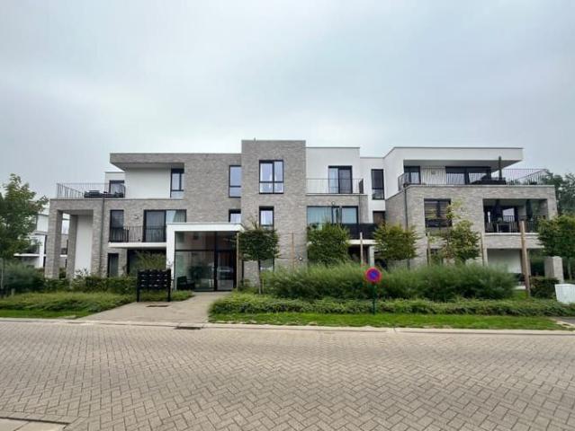 Appartement location à Hoogstraten