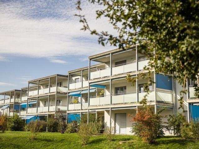 Wohnung mieten in Schmitten (FR), Freiburg
