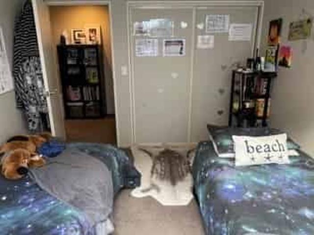 Apartment for rent in Addington, Canterbury