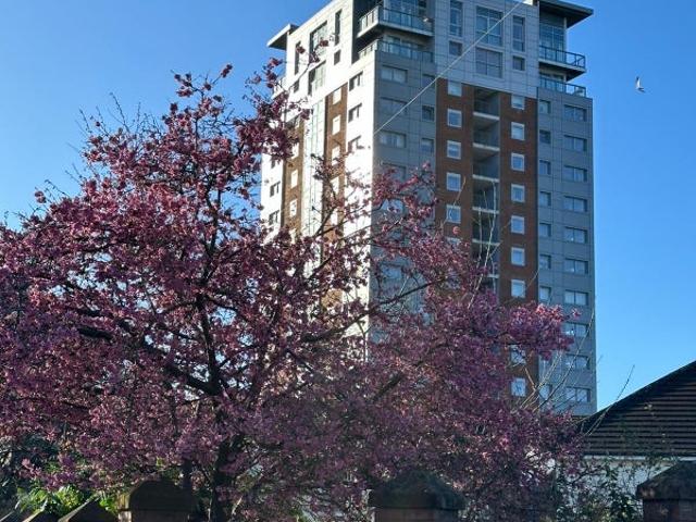 Apartment for rent in Calderstones