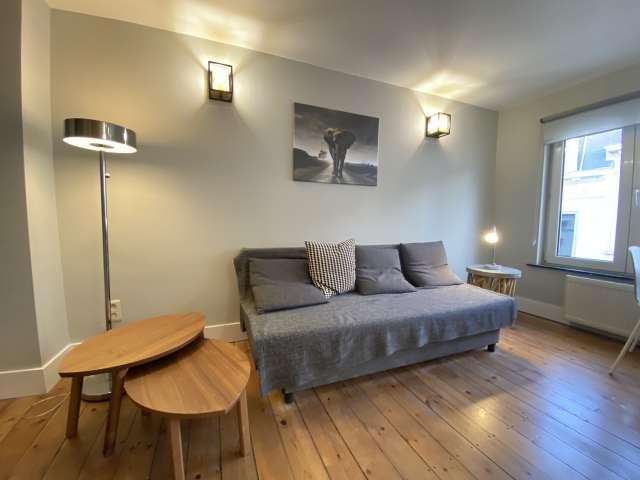 Studio location à Brussels