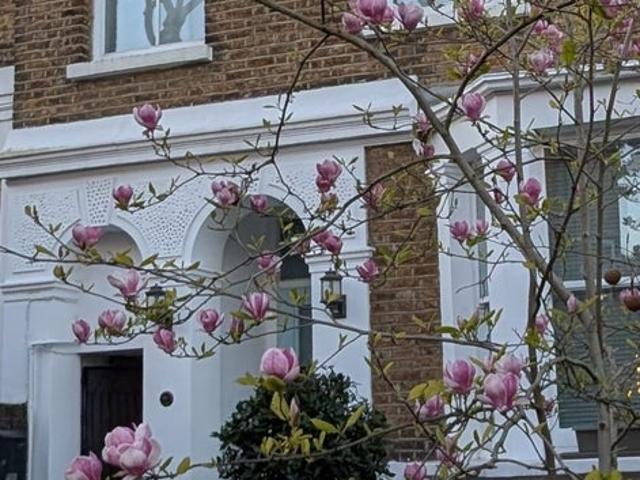 Studio for rent in Hammersmith, Greater London