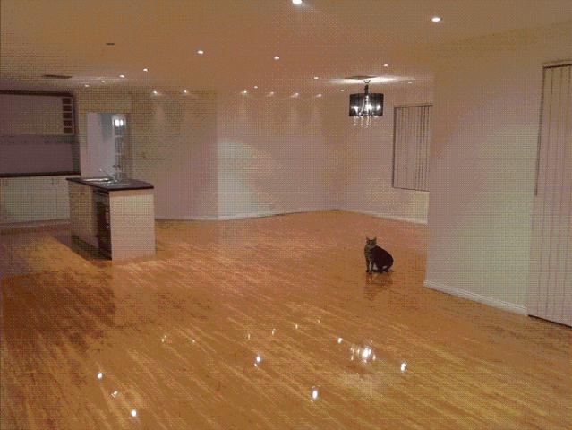 House for rent in Orelia, Western Australia