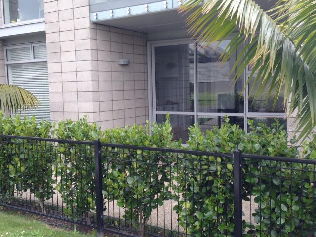 House for rent in Mission Heights, Howick