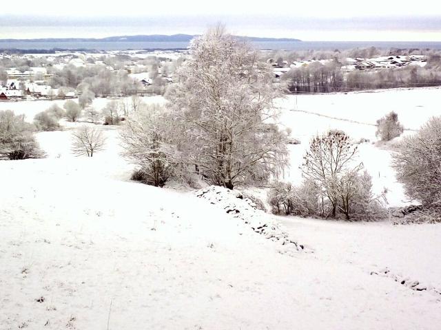 Lägenhet hyra i Förslöv, Skåne