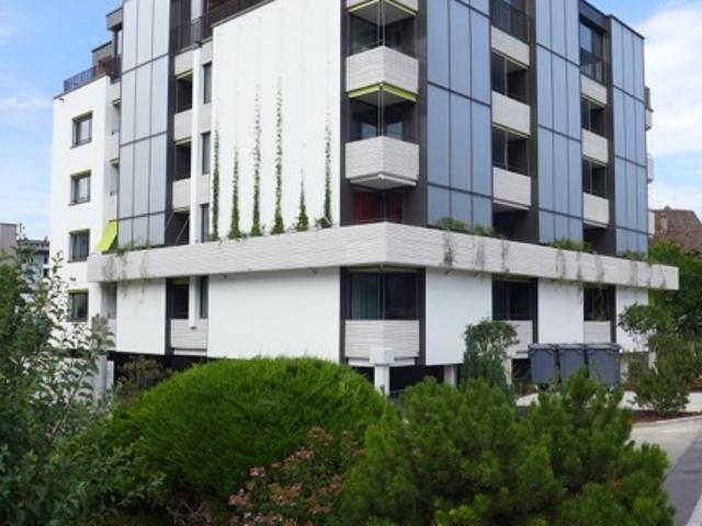 Apartment mieten in Einigen, Zürich