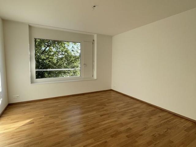 Apartment mieten in Möhlin, Bezirk Rheinfelden