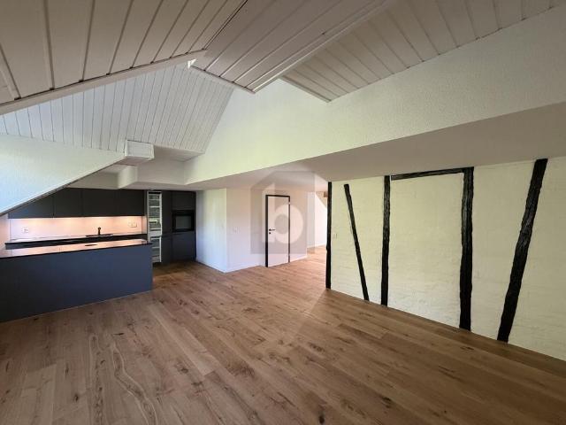 Haus mieten in Unterstrass, Zürich