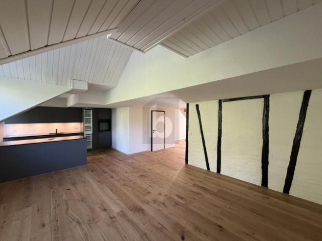 Maisonette mieten in Oberstrass, Zürich