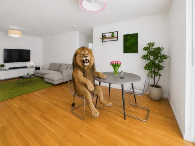 Apartment mieten in Bickenbach, Rheinland-Pfalz