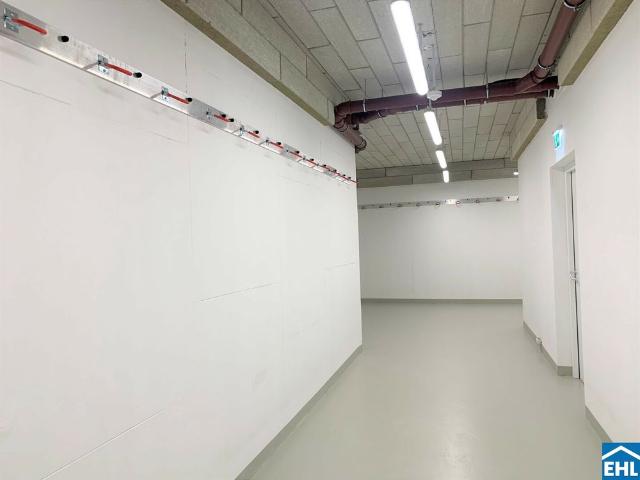 Apartment mieten in Floridsdorf, Wien