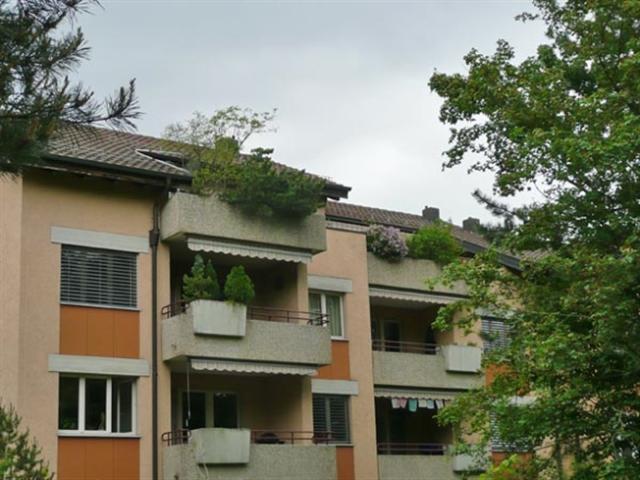Wohnung mieten in Schwerzenbach, Zürich