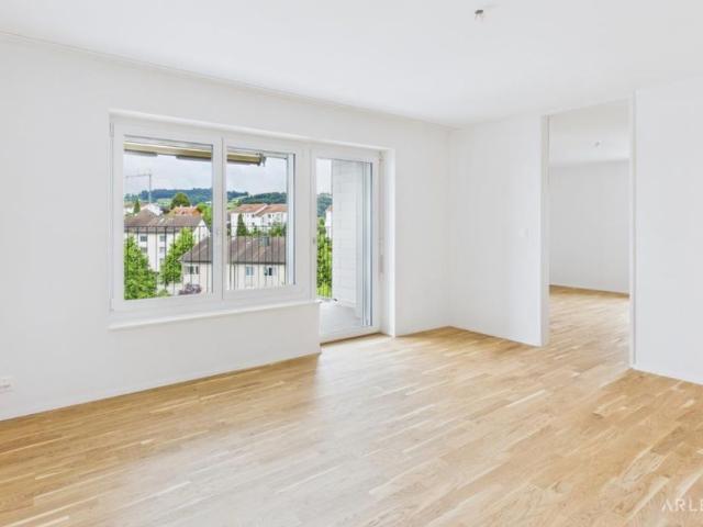 Apartment mieten in Sursee, Lü