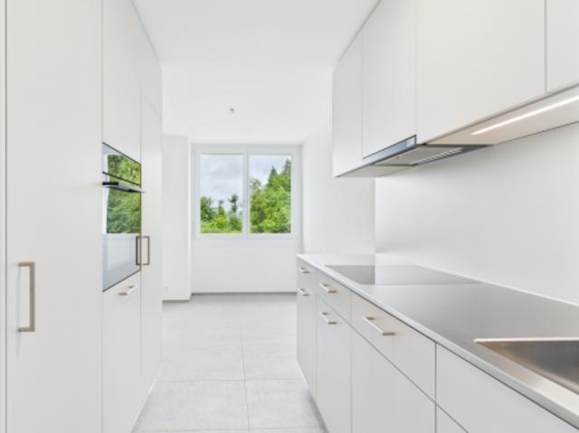 Apartment mieten in Sursee, Lü