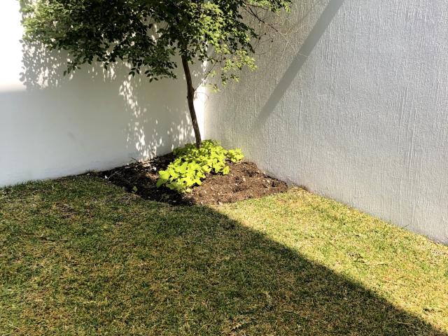 Casa en renta en Zapopan