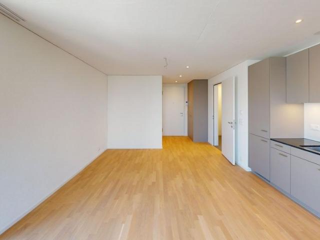 Apartment mieten in Hochbord, Dübendorf
