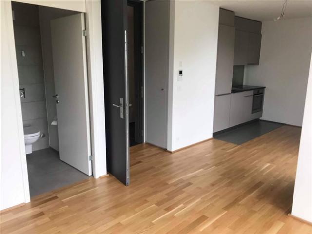 Wohnung mieten in Conches