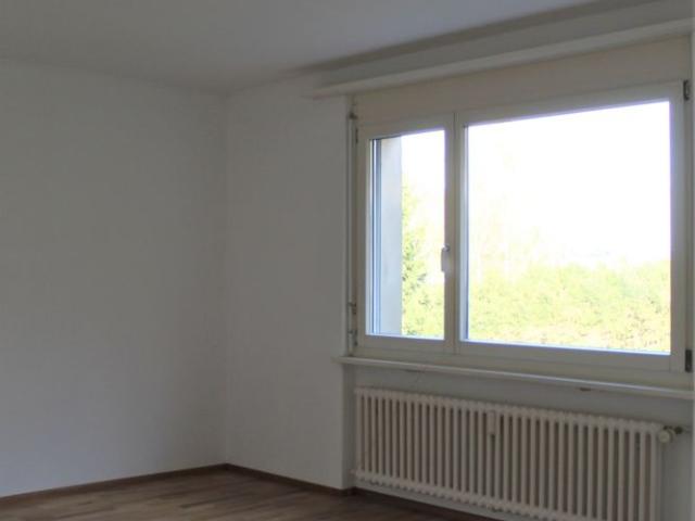 Apartment mieten in Bunt, Wattwil