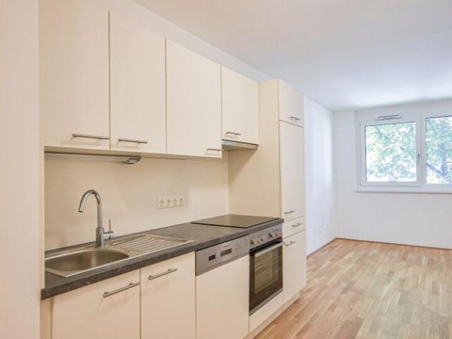 Apartment mieten in KG Brigittenau, Wien
