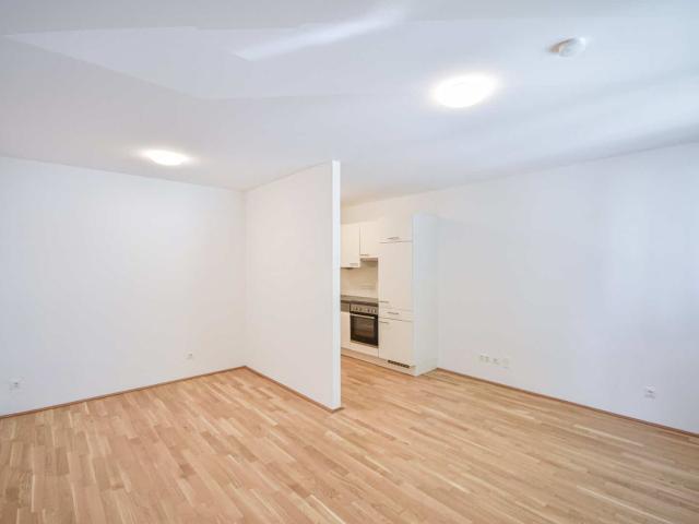Apartment mieten in KG Brigittenau, Wien