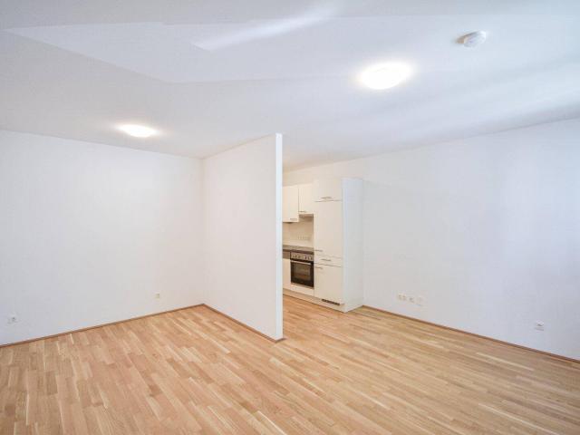 Apartment mieten in KG Brigittenau, Wien