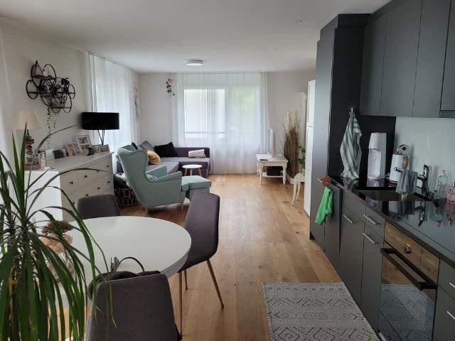 Wohnung mieten in Rotkreuz, Zug