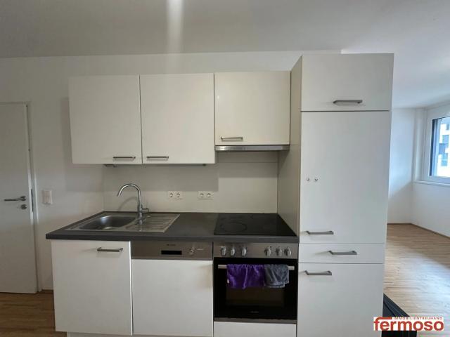 Apartment mieten in KG Brigittenau, Wien
