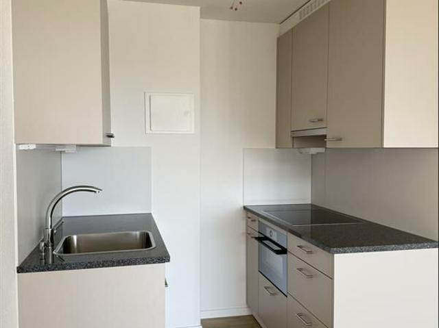 Apartment mieten in Lü