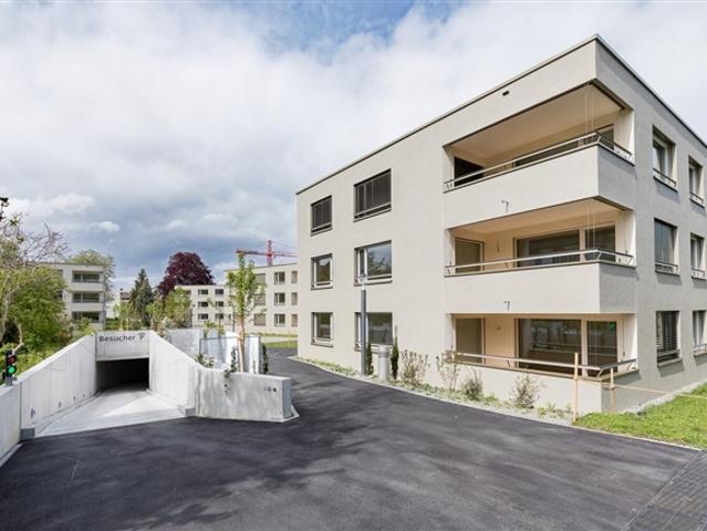 Wohnung mieten in Boniswil, Aargau