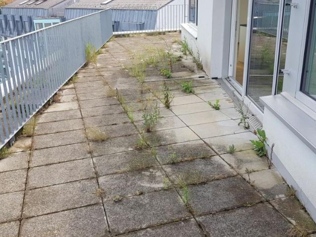Apartment mieten in Möriken (AG), Aargau