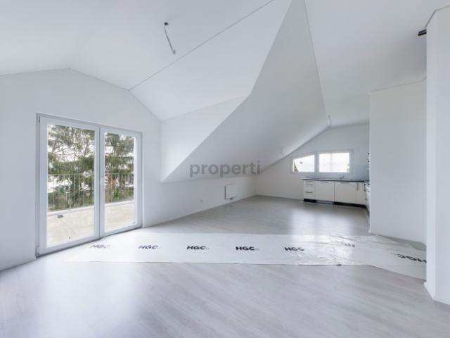 Dachwohnung mieten in Hägglingen