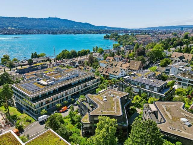 Immobilie kaufen in Einigen, Zürich