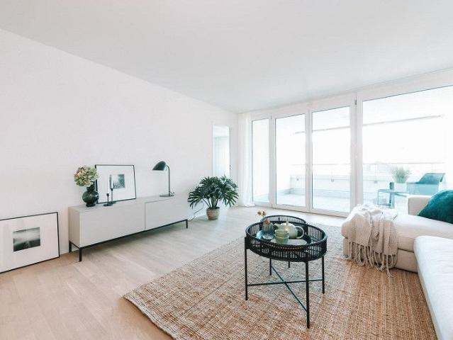 Apartment mieten in Neuhausen, Schaffhausen