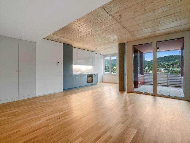 Apartment mieten in Reinach (BL), Basel-Landschaft