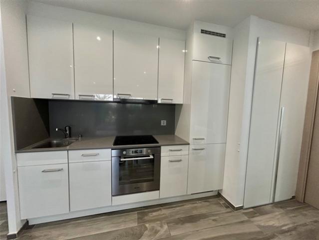 Wohnung mieten in Mendrisio, Tessin
