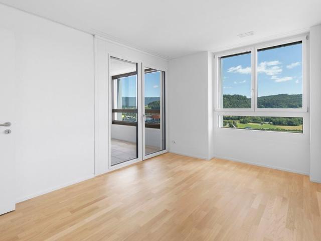 Apartment mieten in Mittlerzelg, Spreitenbach