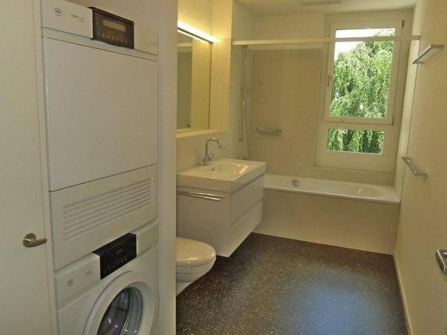Apartment mieten in Einigen, Zürich