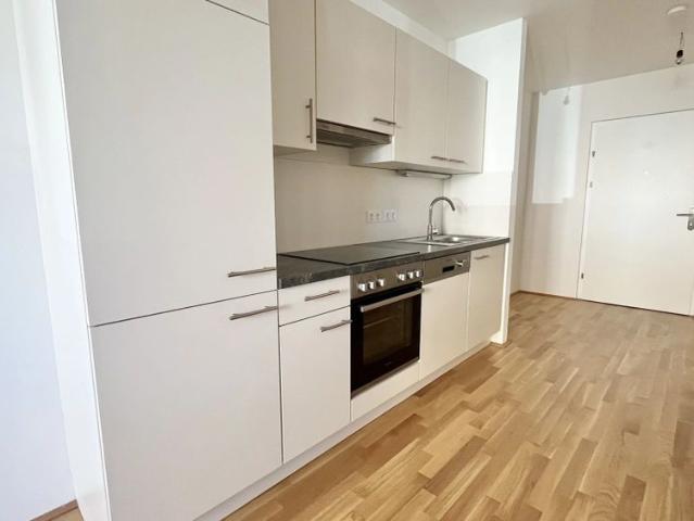 Apartment mieten in KG Brigittenau, Wien