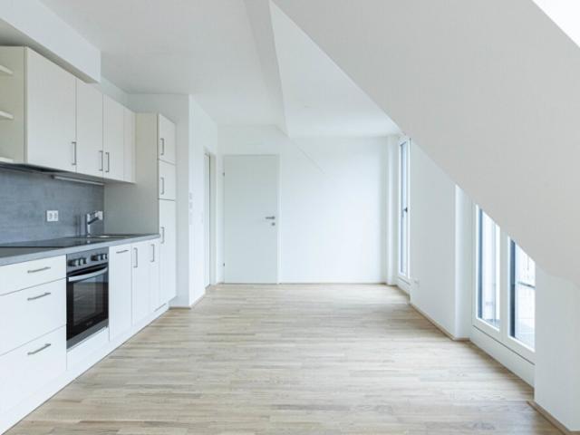 Dachgeschosswohnung kaufen in Wien